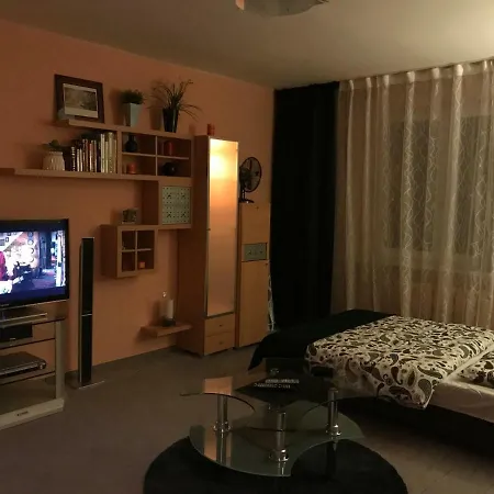 Apartament Skrzeka 8 Katowice