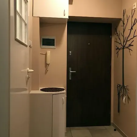 Apartament Skrzeka 8 *